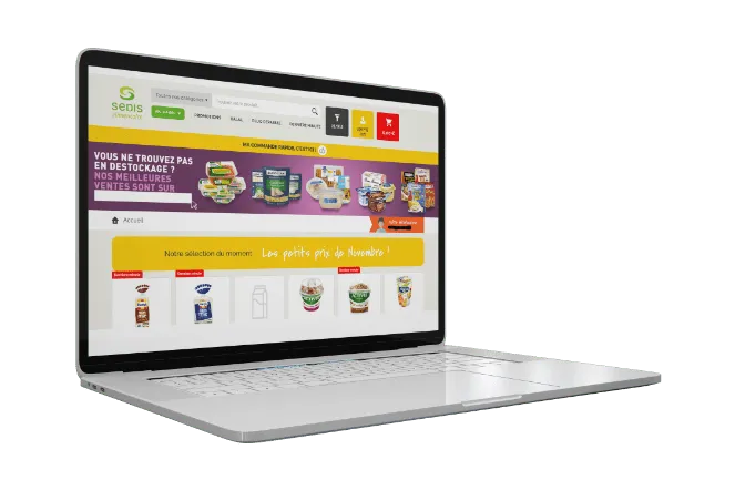 Illustration de la solution e-commerce et mobile