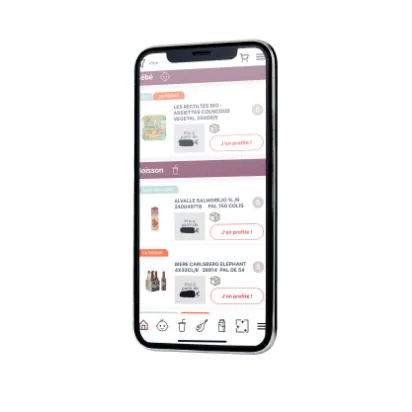 Illustration de la solution e-commerce et mobile